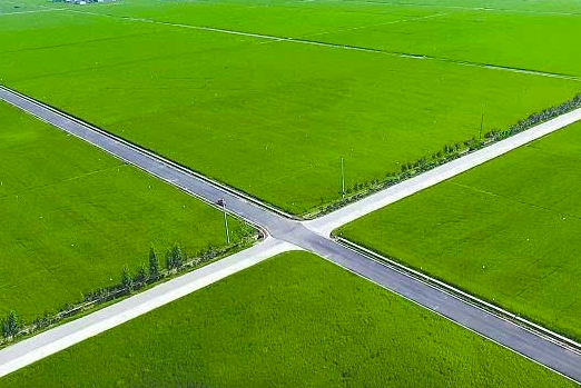 高標準農(nóng)田建設(shè)